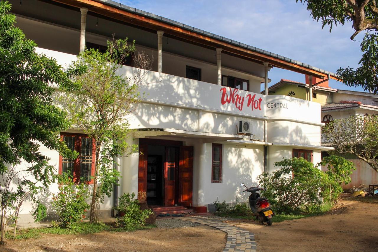 Why Not Backpackers Hostel Mirissa Luaran gambar