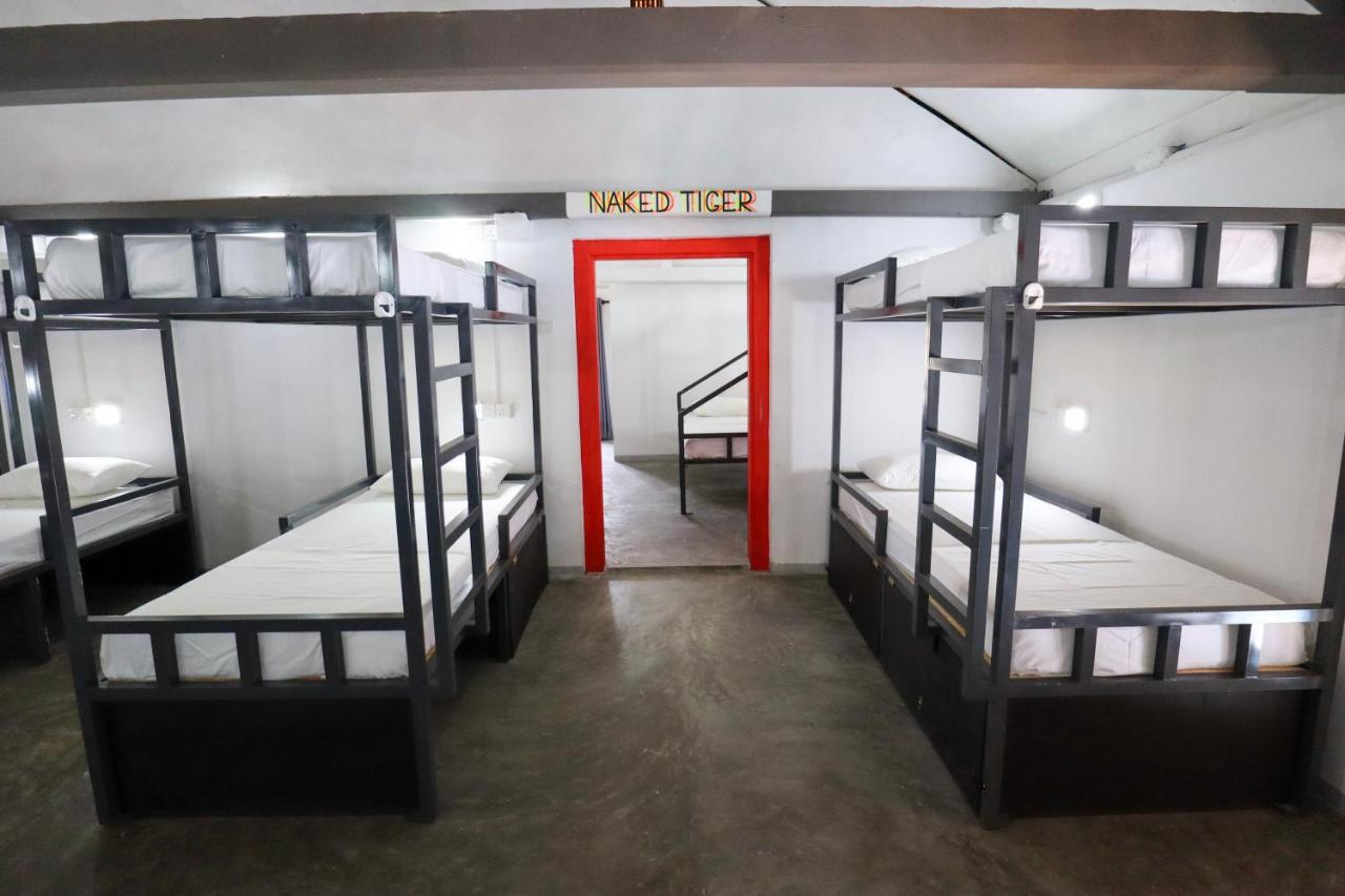 Why Not Backpackers Hostel Mirissa Luaran gambar